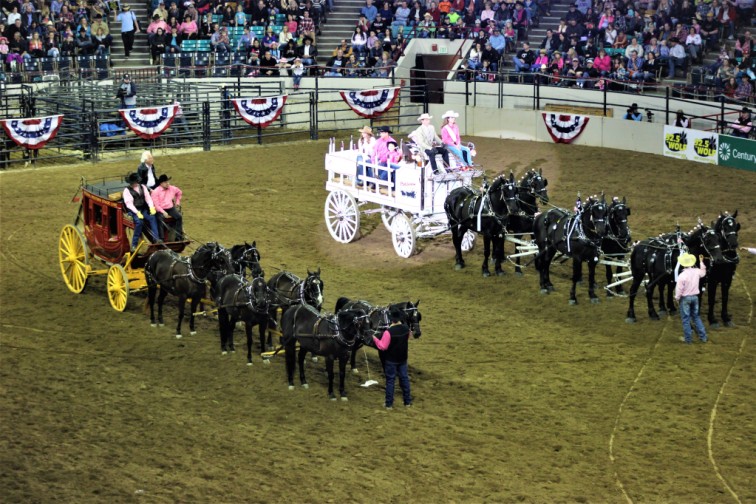 a black and a white stage coach tethered with six black horses each.
